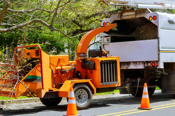 Best Weed Control  in Whittingham, NJ