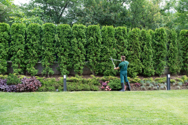 Best Tree Cabling and Bracing  in Whittingham, NJ